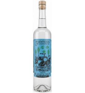 5 Sentidos Ensamble de 6 Magueyes 5 Sentidos Ensamble de 6 Magueyes